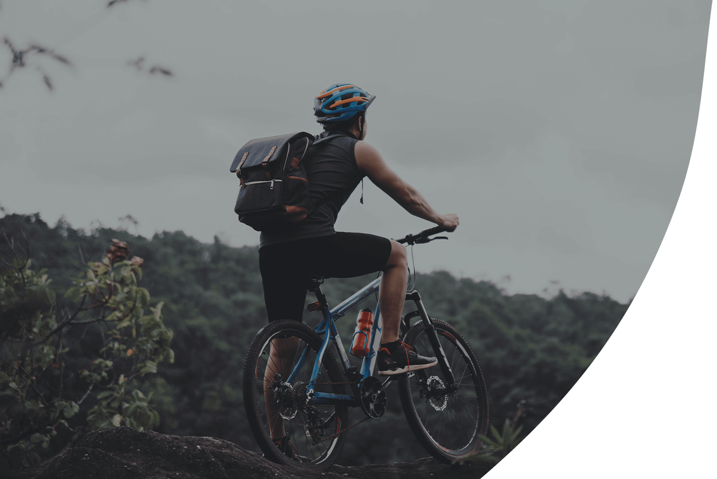 home4_slider3_01 image